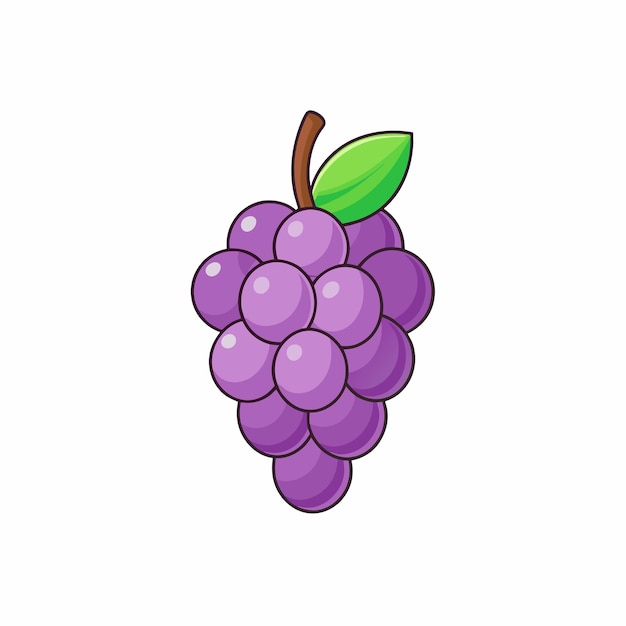 Vector de dibujos animados de uvas Ilustración concepto de obra de arte de estilo plano