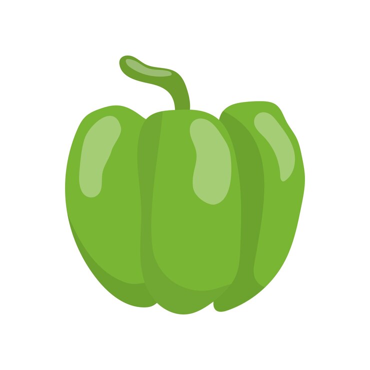 Vector vector de dibujos animados vegetales pimiento verde ilustración sobre un fondo blanco
