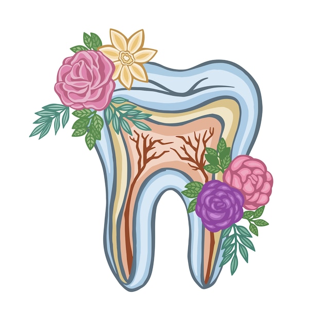 Vector de diente de flora oral coloreado