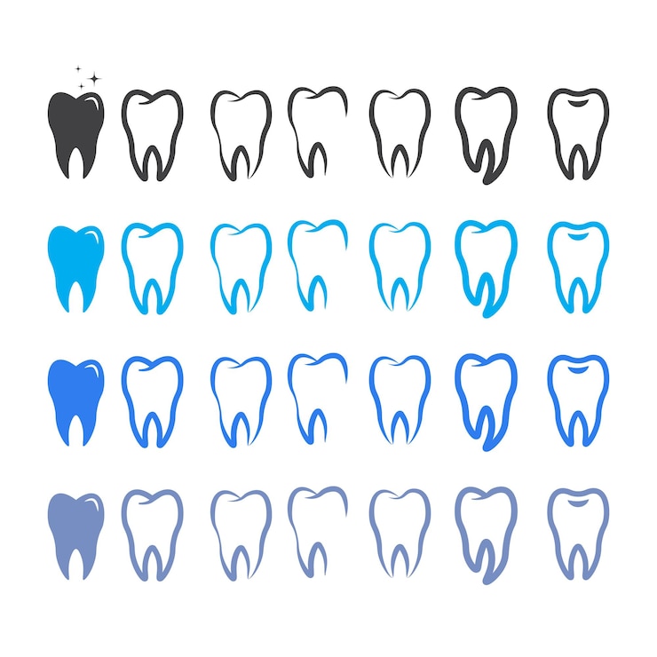 Vector vector de dientes