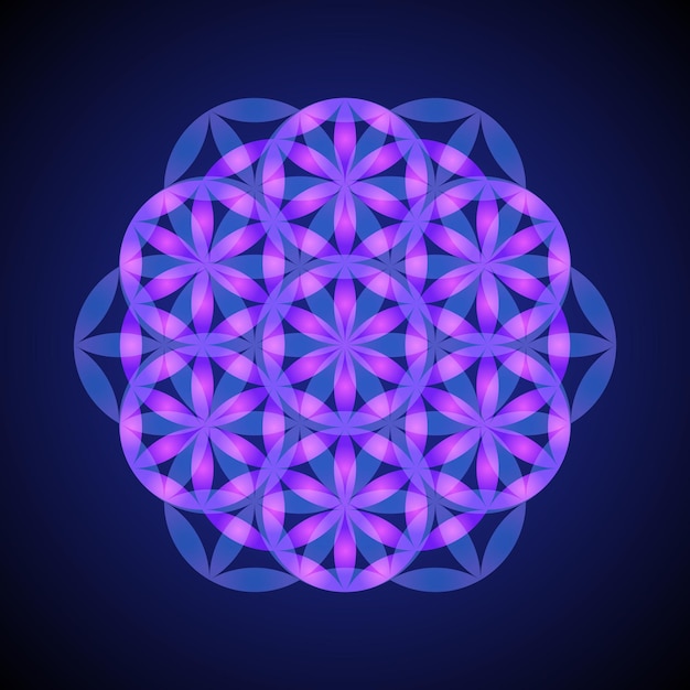 Vector de diseño de adorno rosa violeta mandala abstracta ilustración de geometría sagrada flor de la vida aislada sobre fondo oscuro