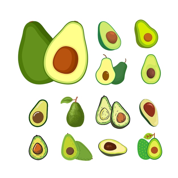 vector de diseño aguacate