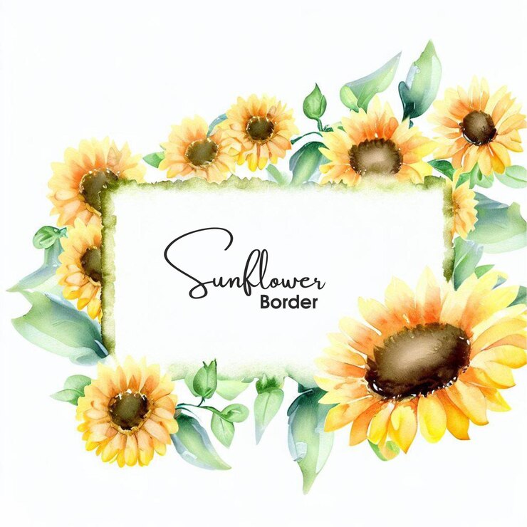 Vector de diseño de bordes de flor de sol en acuarela
