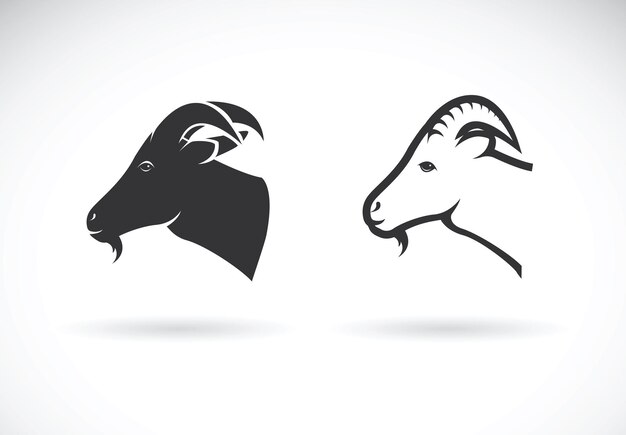 Vector de un diseño de cabeza de cabra sobre fondo blanco Animales salvajes