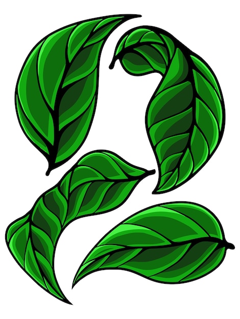 vector de diseño de elemento de hoja orgánica