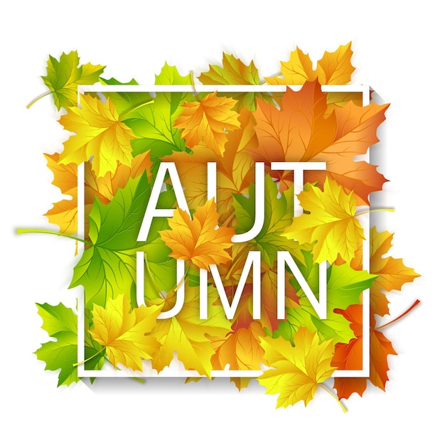 Vector de diseño de fondo de las hojas de otoño