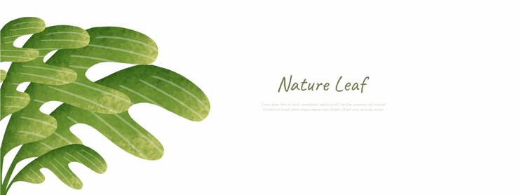 Vector vector de diseño de fondo de naturaleza de hojas para fondo de entorno verde