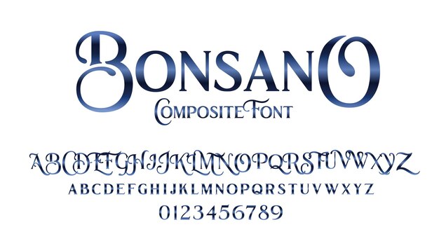 Vector vector de diseño de fuentes serif