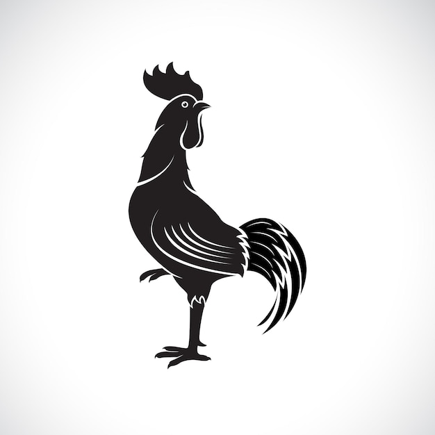 Vector de diseño de gallo o gallo sobre fondo blanco ilustración vectorial en capas editable fácil animales de granja