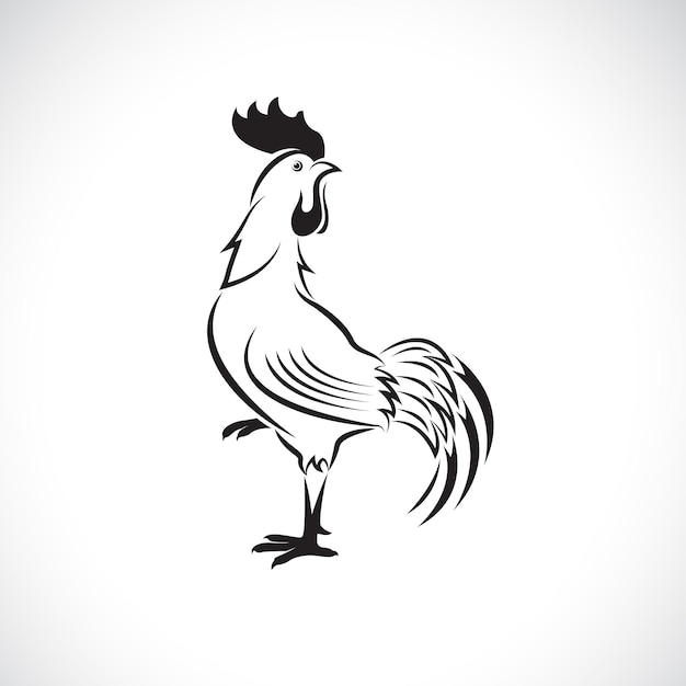 Vector de diseño de gallo o gallo sobre fondo blanco Ilustración vectorial en capas editable fácil Animales de granja