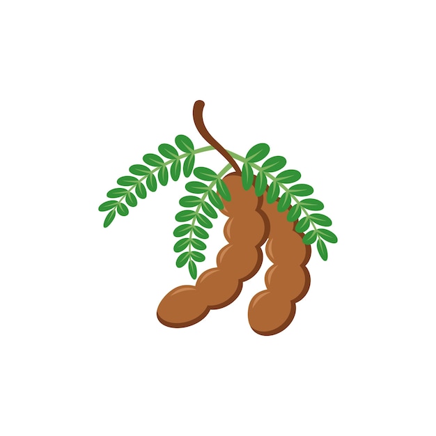 Vector de diseño gráfico de tamarindo