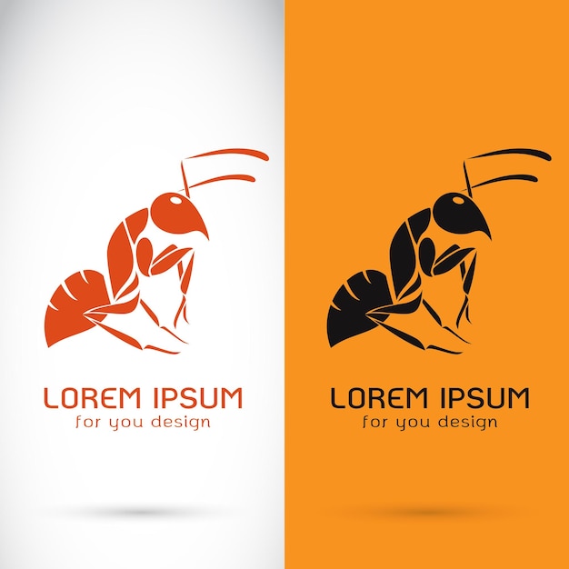 Vector de diseño de hormiga sobre fondo blanco y símbolo de logotipo de fondo naranja