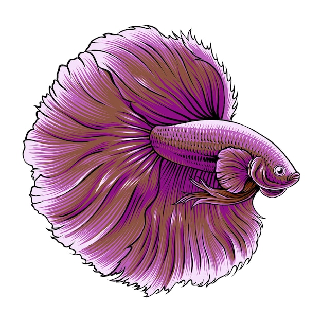 Vector vector diseño de ilustraciones de peces betta de lavanda