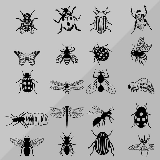 Vector de diseño de insectos