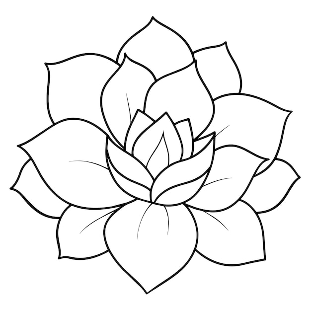 Vector de diseño de libros de colorear flores 43