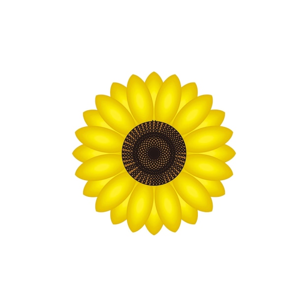 vector de diseño de logotipo de flor de sol