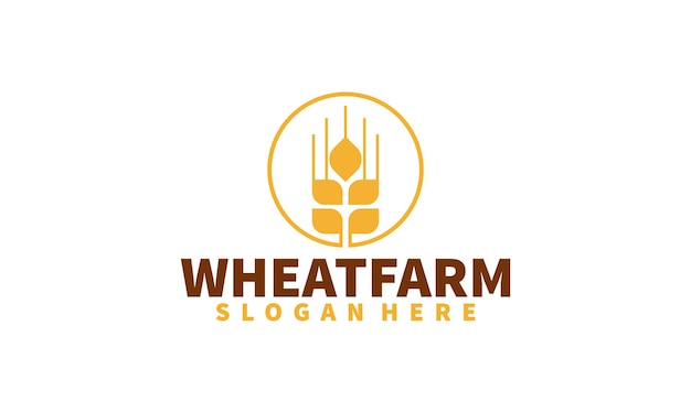 Vector de diseño de logotipo de grano de trigo Concepto de logotipo de campo de trigo de grano plantilla de logotipo de trigo agrícola