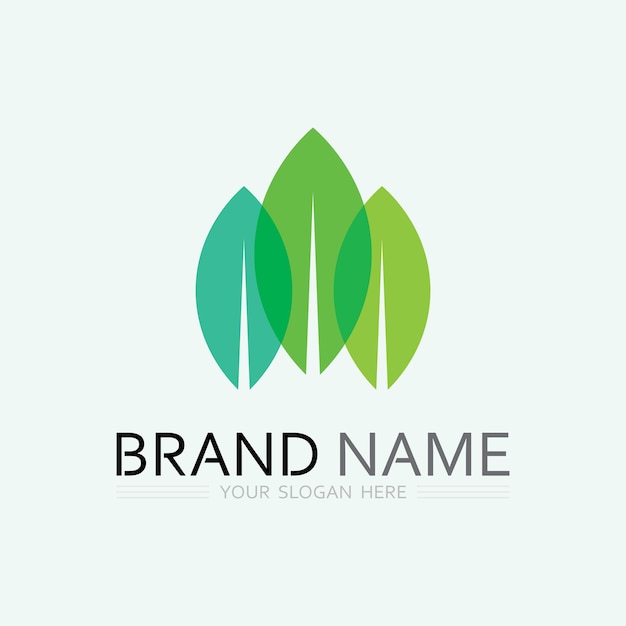 Vector de diseño de logotipo de hoja para plantilla de símbolo de naturaleza editable Icono vectorial de elemento de ecología de logotipo verde de hoja