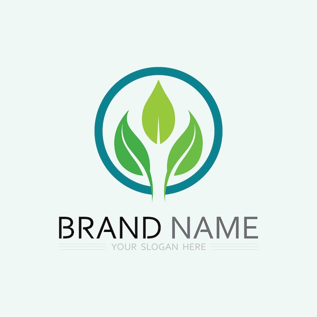 Vector de diseño de logotipo de hoja para plantilla de símbolo de naturaleza editable Icono vectorial de elemento de ecología de logotipo verde de hoja