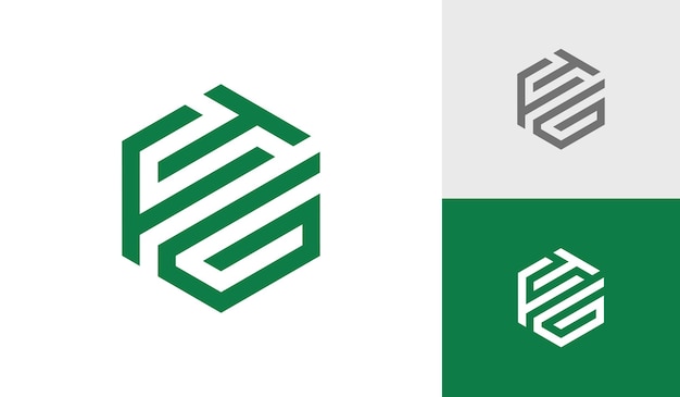 Vector de diseño de logotipo de monograma hexagonal inicial de letra FTG
