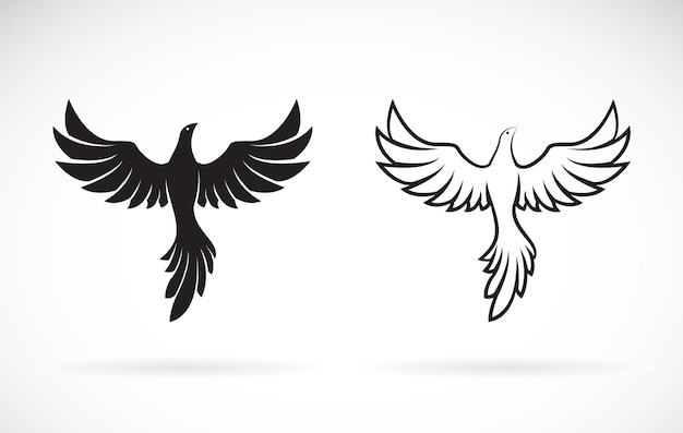 Vector de diseño de pájaros sobre un fondo blanco. Animales salvajes. Ilustración vectorial en capas editable fácil.
