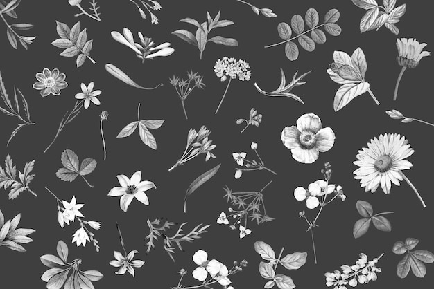 Vector de diseño de papel tapiz floral negro