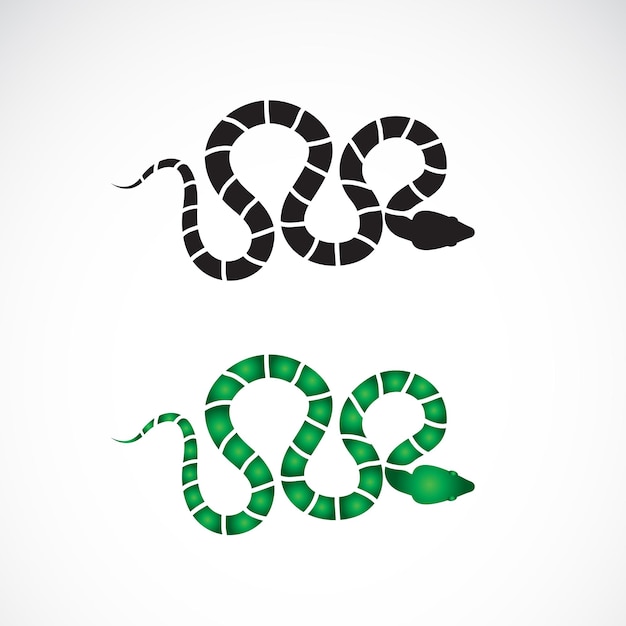 Vector de diseño de serpiente sobre fondo blanco. animales reptil. logotipo o icono de serpientes. ilustración vectorial en capas editable fácil.