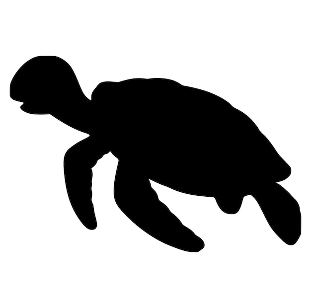 Vector de diseño de tortuga sobre un fondo blanco animales salvajes animal submarino icono o logotipo de tortuga