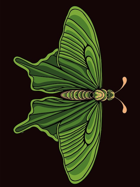 Vector vector de diseños de mariposa únicos