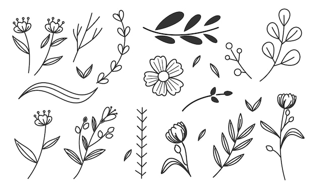 Vector vector de doodle de flores y ramas dibujadas a mano