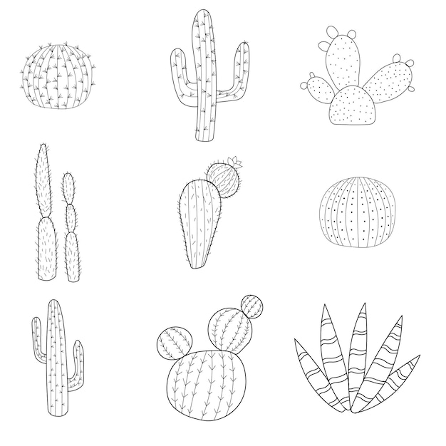 Vector vector doodle ilustración de cactus conjunto de elementos de cactus dibujados a mano doodle cactus mexicanos