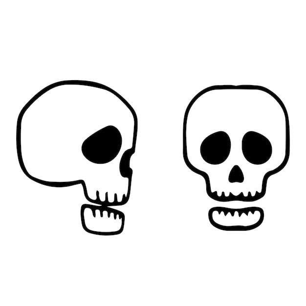Vector de doodles de cráneo aislado en fondo blanco cráneo dibujado a mano