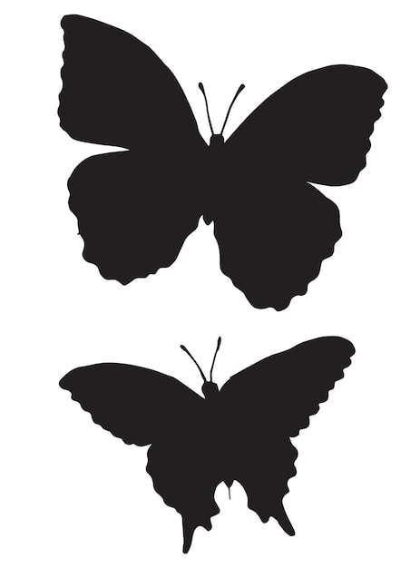 Vector dos siluetas de mariposa