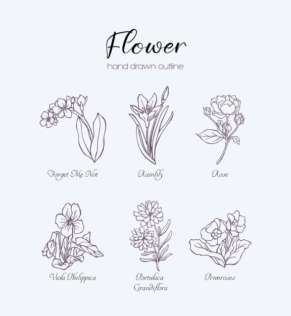 Vector de elementos de contorno de flor dibujada a mano