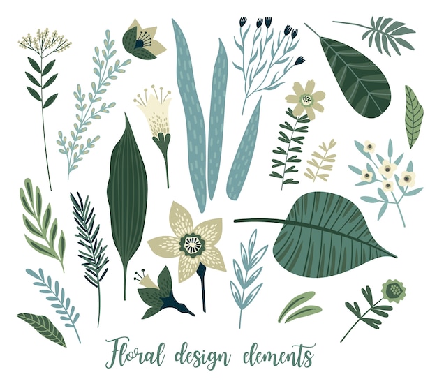Vector elementos de diseño floral
