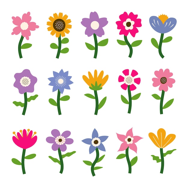 Vector de elementos florales de colores