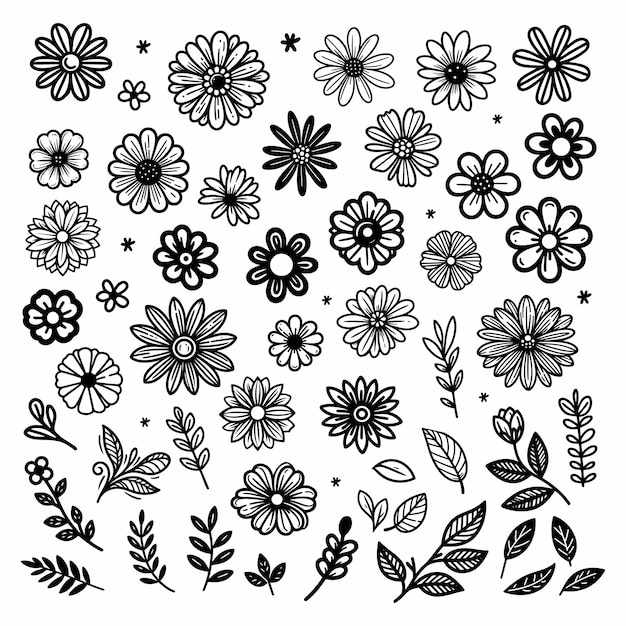 Vector de elementos florales dibujados a mano