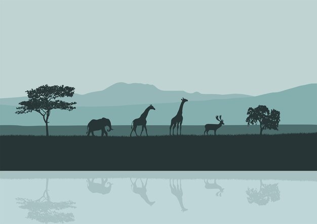 Vector un vector de escenas de vida silvestre en el desierto africano