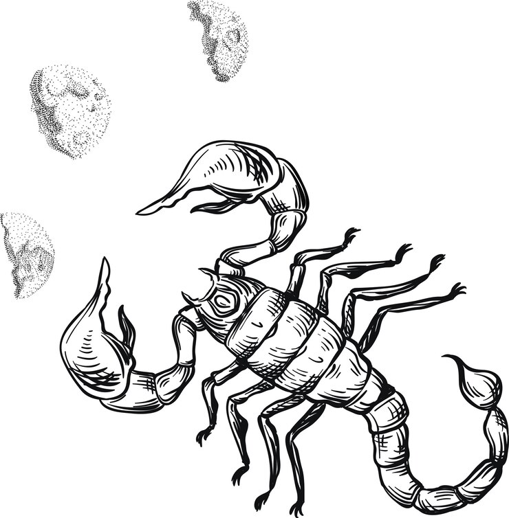 Vector escorpión escorpión boceto tatuaje vector