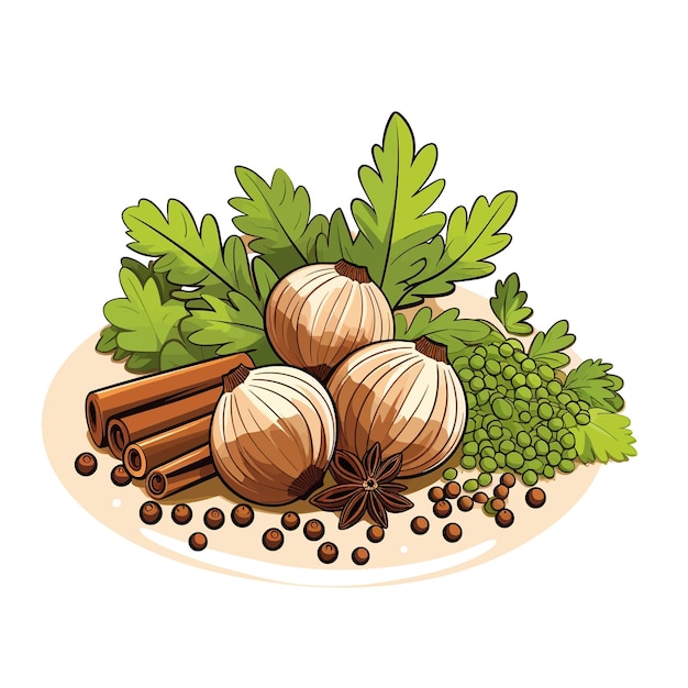 Vector de especias de cilantro con fondo blanco