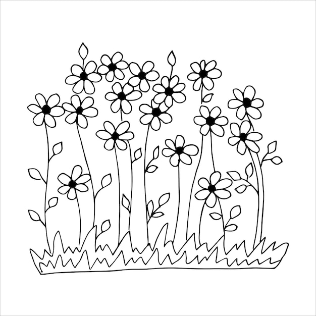 Vector en el estilo de un dibujo de flores o coloreado de bocetos con una postal de flores en blanco y negro