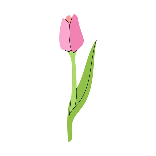 Vector estilo plano flor Ilustración boceto de tulipán De vuelta a la escuelax9