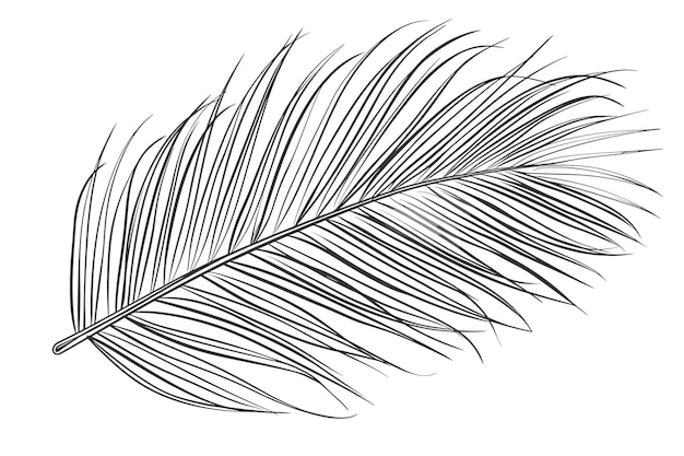 Vector Exótico verano tropical hawaiano Árbol de palma playa jungla hoja botánica