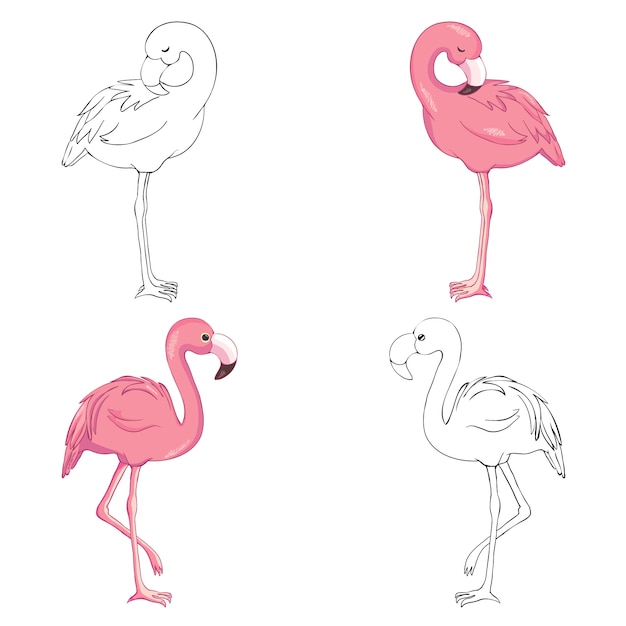 Vector de flamencos bosquejado