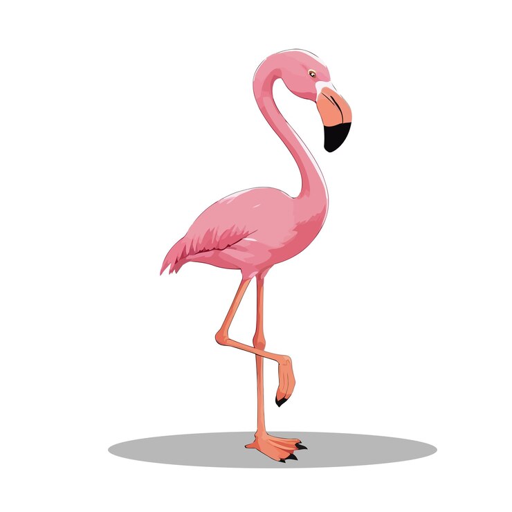 El vector de los flamencos es lindo. El arte vectorial del flamenco.