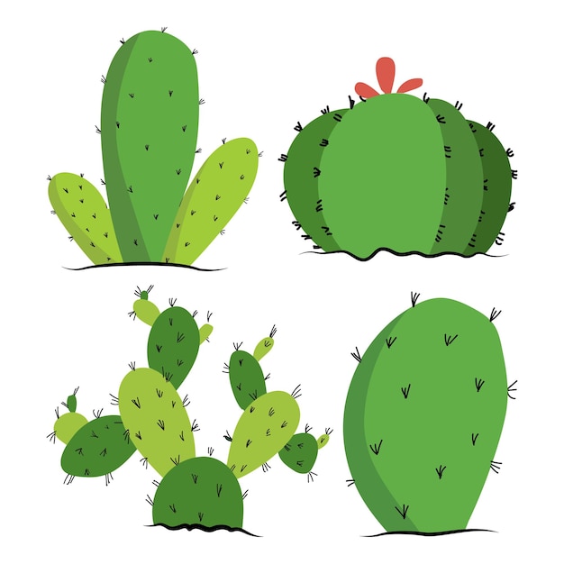 Vector vector flat es una colección de cactus lindos.