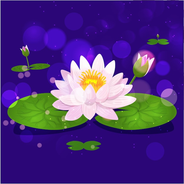 Vector flor de loto Floral flor botánica Elemento de ilustración aislado Fondo