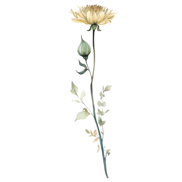 Vector Flor pintada de acuarela Elementos de diseño de flores dibujados a mano aislados sobre fondo blanco