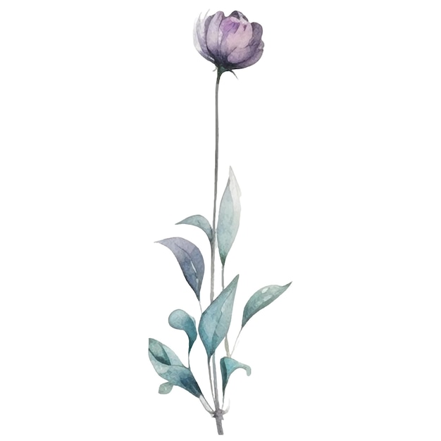 Vector Flor pintada de acuarela Elementos de diseño de flores dibujados a mano aislados sobre fondo blanco