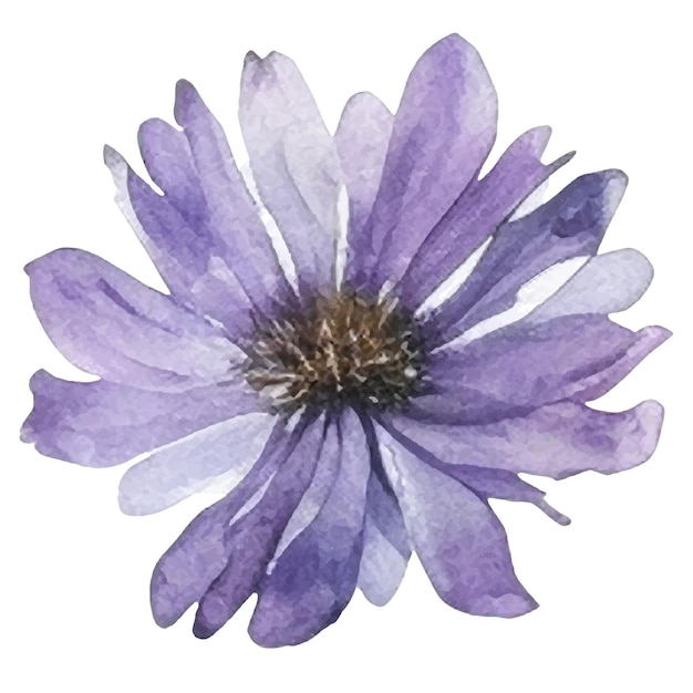 Vector Flor pintada de acuarela Elementos de diseño de flores dibujados a mano aislados sobre fondo blanco